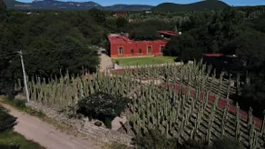 Luxury Vineyard Estate, Services Included - Image 3
