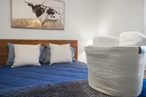 Tranquil Cary Near Downtown | New Furniture & Beds - Image 5