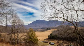 Let your imagination run wild at Just Squatchin - Image 3