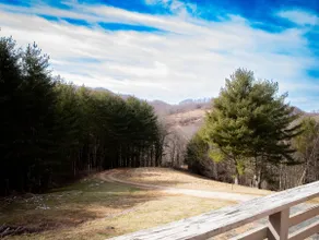 Let your imagination run wild at Just Squatchin - Image 5