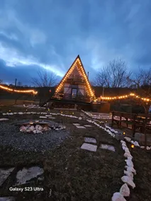 Cabana Apuseni Forest - Image 2