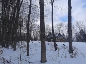 Perfect Private getaway log cabin in the woods - Image 5