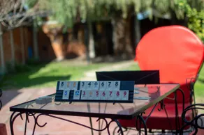 Pet-friendly Loft in Maipú with Garden near Wineries - Image 4