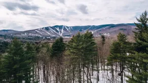 The SugarFunk Chalet (Access Rd w/Sugarbush Views) - Image 5