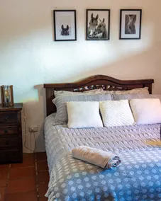 Hotel - Finca Casa de Teja - Subachoque - Image 3