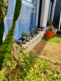 Green home - Image 5
