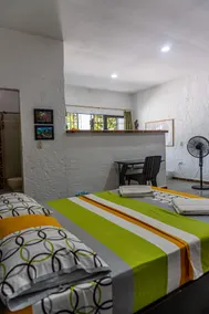 Rivera del Castillo House - Image 4