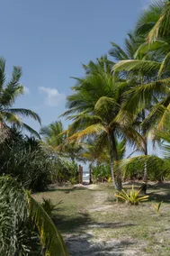 Time Space | Caju Beira-Mar Chalet, Serra Grande - Image 5