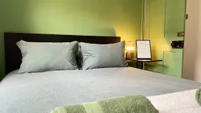 Entire 3 Bedroom House in Central London - Image 2
