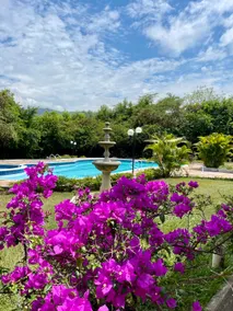 Quinta de Verano house with all the amenities - Image 3