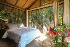 Glass Suite with Waterfall in the Backyard - Image 2