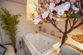 Spa under the Mokuren – Zen getaway in Blois - Image 2