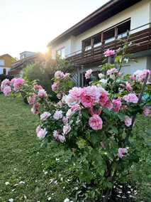 Large holiday apartment in michelbach am Wald - Image 3