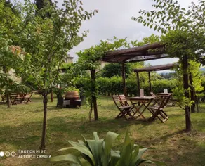 Chianti shire Peace, spirituality art and history - Image 4