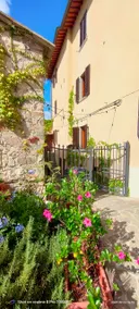 Chianti shire Peace, spirituality art and history - Image 3
