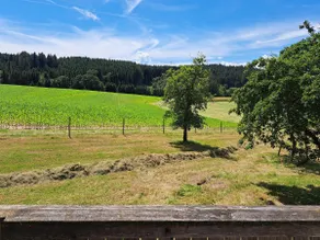 Haus Waldblick - Image 4