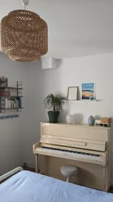 Pleasant beachfront house - Image 5