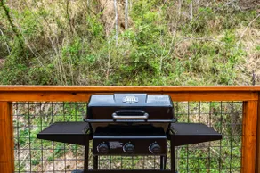 Couple's Escape Cabin! Theater! Jacuzzi! Fire pit! - Image 5