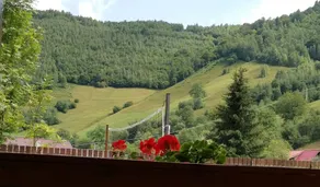 Cabana Lenuța, 8 bedrooms, Sleeps 19, HotTub - Image 5