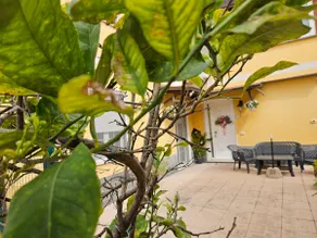 Anna and Silvano's Pink Pepper - Image 4