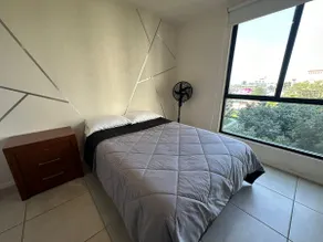 ”Ideal stay: Arena GDL & Zoo 5 minutes away” - Image 3