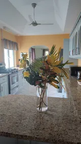 Kay Marni: Your Saint Lucian home - Image 5
