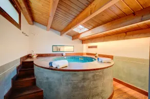 House with a heated pool, jacuzzi, pool table, and air conditioning - Image 5