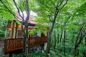 Quiet Forest Villa, Free firewood, nearby ranch - Image 4