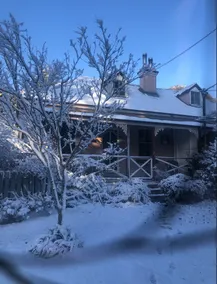Larsens Cottage 2 - Historic 1880 Home - Image 2