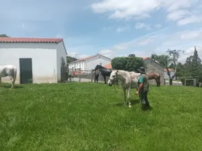 CASA DAVID-con cuadras para caballos - Image 4
