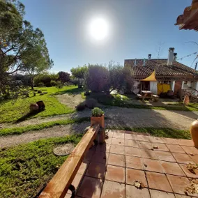Join the silence among vineyards - Image 5