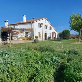 Join the silence among vineyards - Image 2