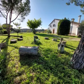 Join the silence among vineyards - Image 4