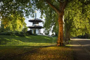 Fantastic split-level flat next to Battersea park - Image 4