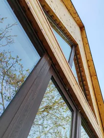 Woody - Image 5