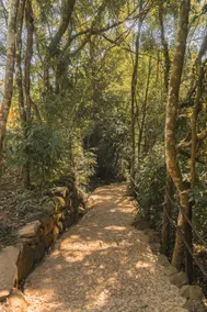 Tessaro – Rifugio del Bosco - Image 3