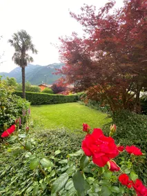 Casa alla Fontana - Image 3