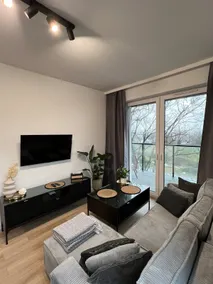 Puławska Apartment - Image 2