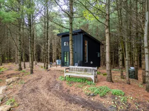 Little Cabin in the Pines - Image 2