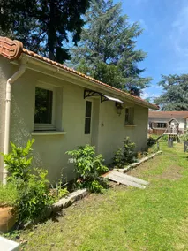 The house in the heart of the cedars - Image 4