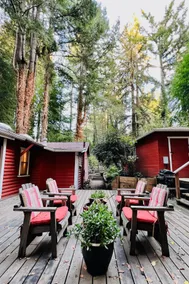 Redwood cabin retreat + spa + dogs + A/C + creek - Image 2