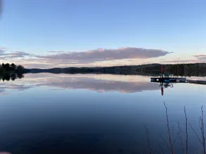 The Blueview! - Image 5