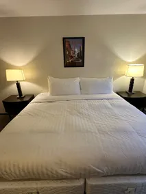 Newly Renovated 2 bed 1 bath Apt, Close to All - Image 3