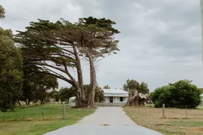 Singline Cottage by the sea. East Coast Tasmania - Image 2