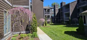 Creekside Comfort-First Floor Condo - Image 4