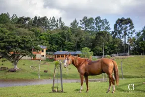 Acácia Chalet - Image 5