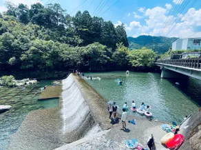 Shikoku’s Heart – Easy Day Trips, Max 8 - Image 2
