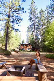 Black Bear Lodge | Secluded | Hot Tub | 3+ acres - Image 5