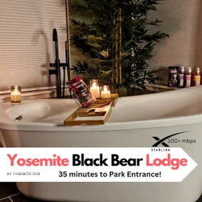 Black Bear Lodge | Secluded | Hot Tub | 3+ acres - Image 2