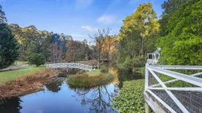 Plum Tree Cottage - Apollo Bay - Image 5